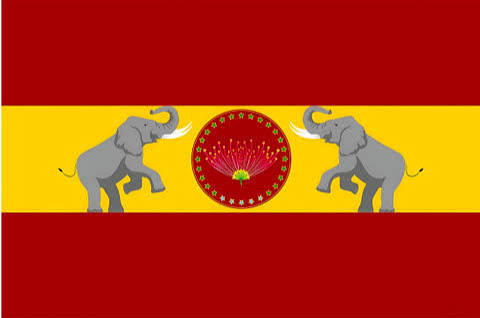 tvk flag.jpg